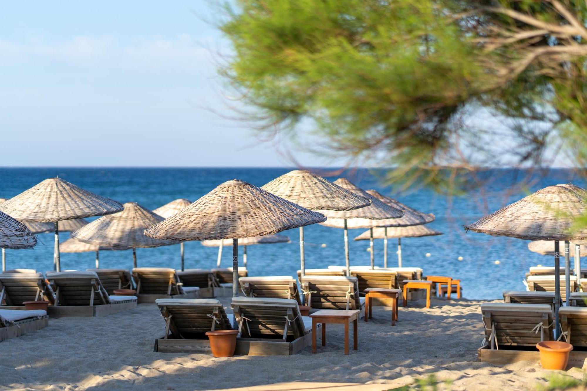 Gokceada Surf Egitim Merkezi Ngoại thất bức ảnh
